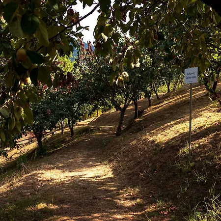 Ktima Bellou מלון Agios Dimitrios (Pieria)