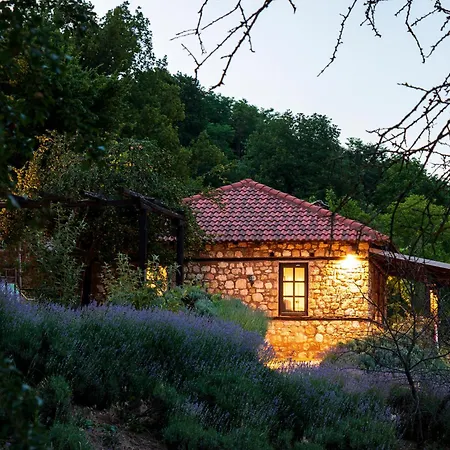 מלון Ktima Bellou Agios Dimitrios (Pieria)