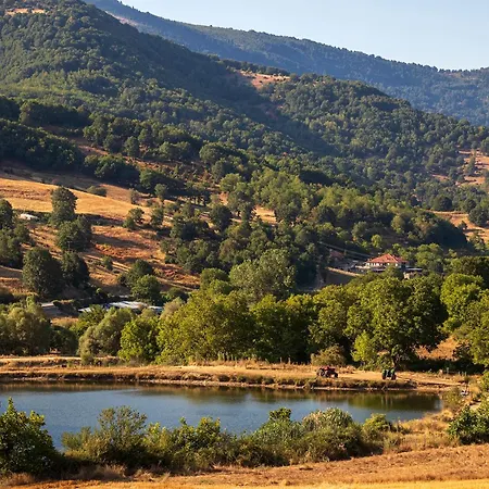 Ktima Bellou Agios Dimitrios (Pieria)