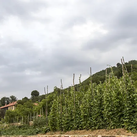 Ktima Bellou Agios Dimitrios (Pieria)