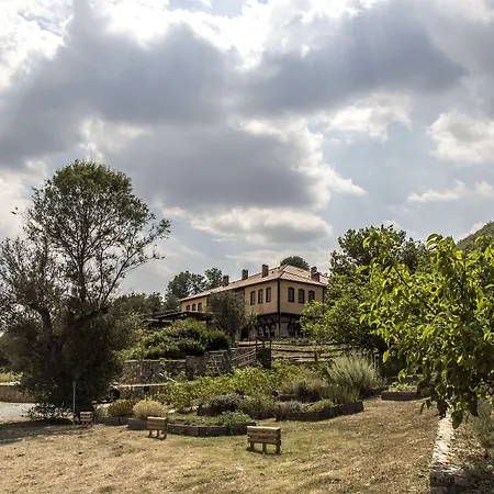 Ktima Bellou Agios Dimitrios (Pieria)