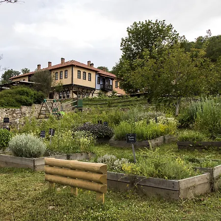 Ktima Bellou Agios Dimitrios (Pieria)