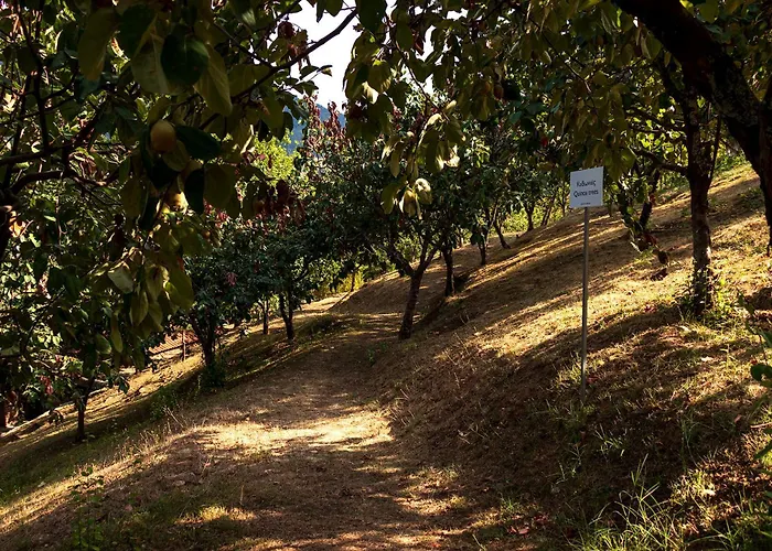 Ktima Bellou فندق Agios Dimitrios (Pieria)