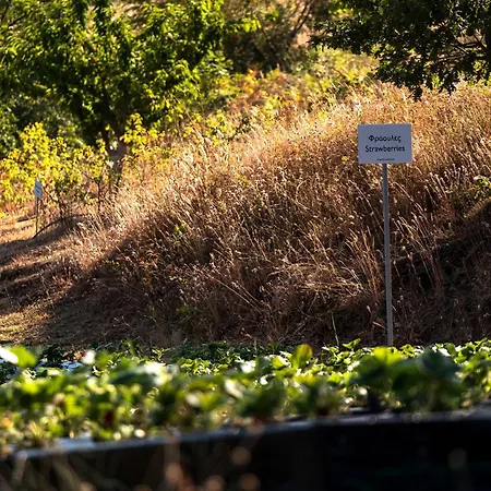 Szálloda Ktima Bellou