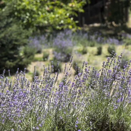Szálloda Ktima Bellou