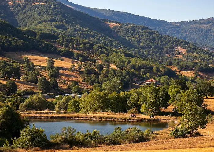 Ktima Bellou Agios Dimitrios (Pieria)