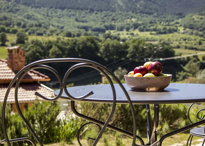 Ktima Bellou Agios Dimitrios (Pieria)