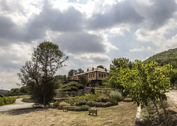 Ktima Bellou Agios Dimitrios (Pieria)