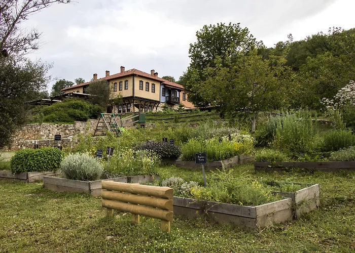 Ktima Bellou Agios Dimitrios (Pieria)